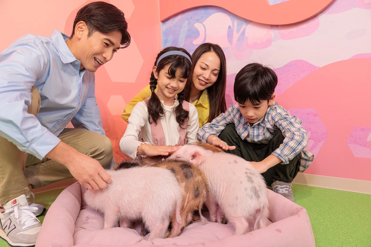 DMM Kariyushi Aquarium Okinawa: Peak Season Ticket (Redemption Required)