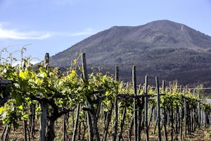 Degustações de vinhos em Nápoles