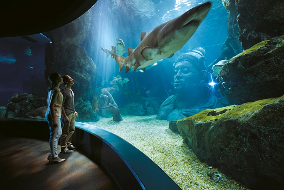 People observe sharks swimming in a large aquarium with a statue of a human head and rocky landscape in the background.