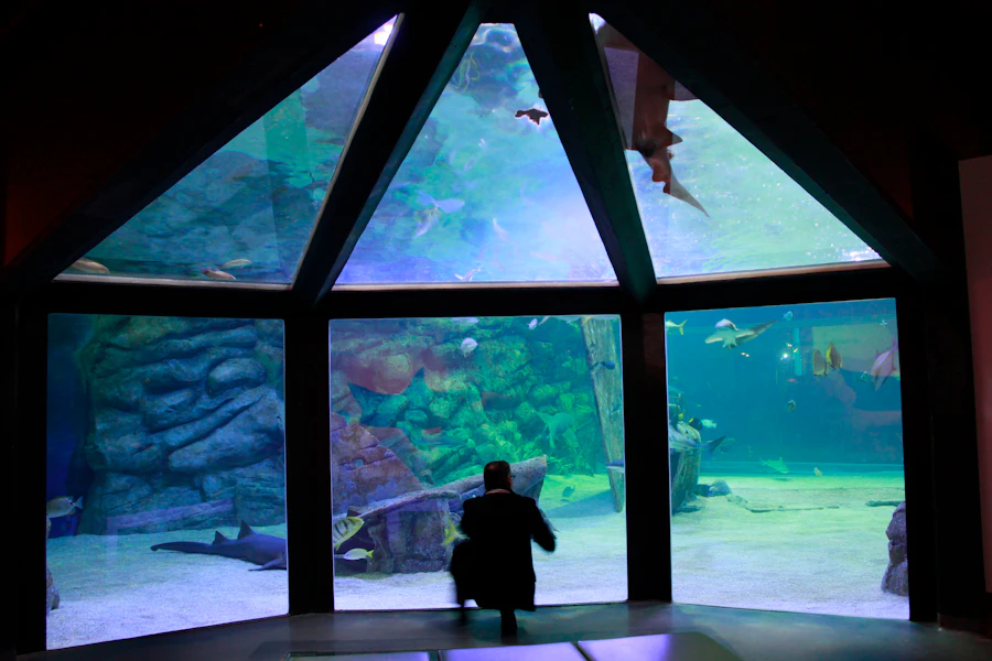 Seaquarium du Grau-du-Roi