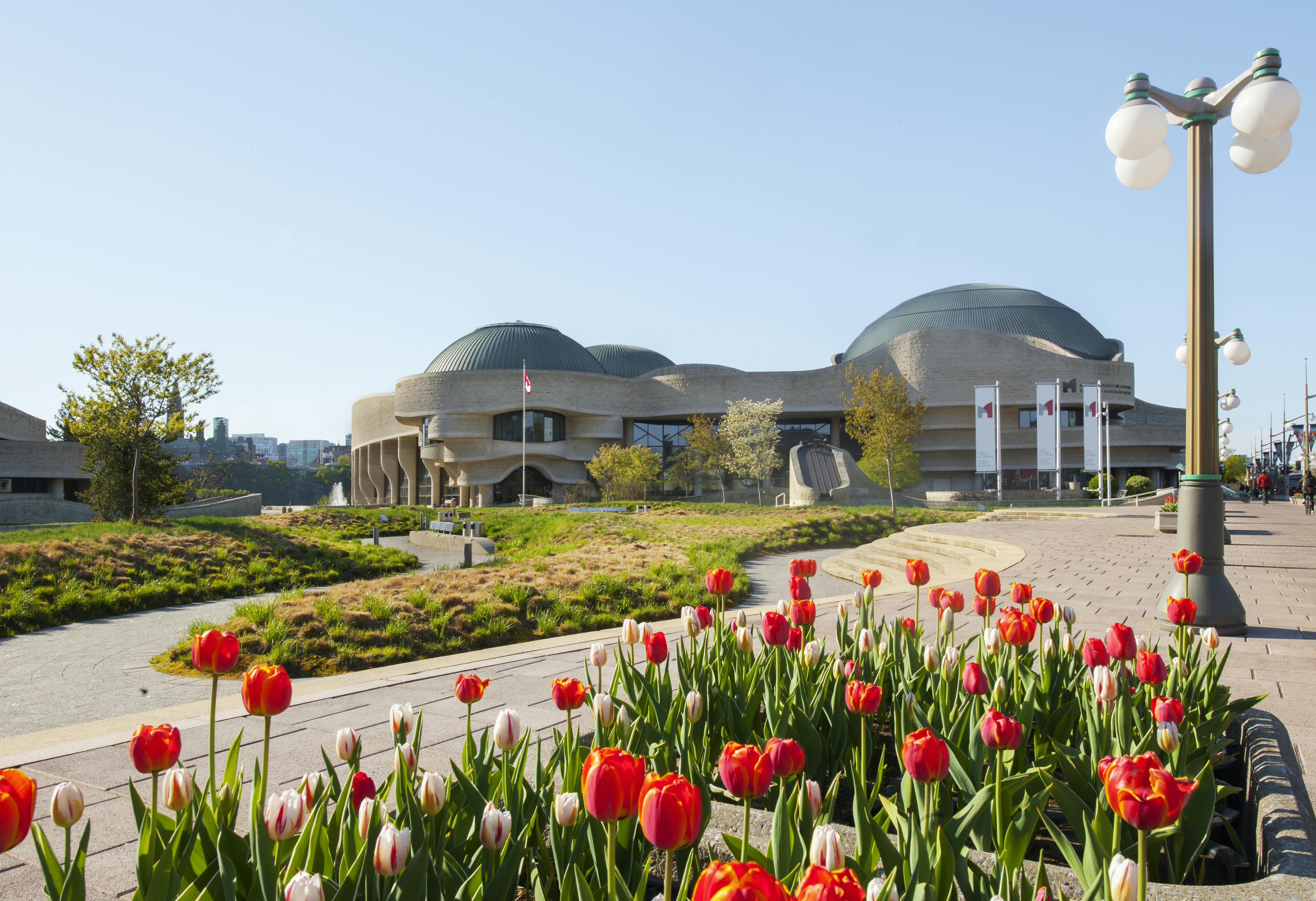 晴朗蓝天下的红白郁金香花园后面是一栋弧形建筑。