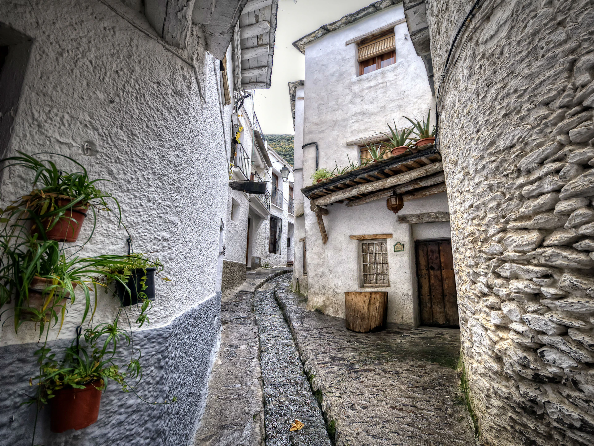 Narrow cobblestone alley lined with whitewashed buildings, potted plants, and a wooden door under a rustic balcony.