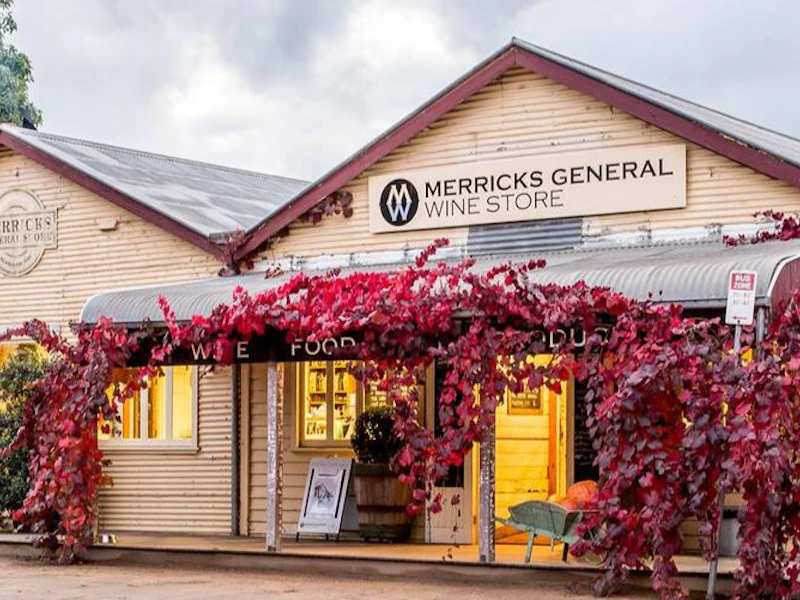 Mornington Peninsula: Guided Wine Tour from Melbourne + Lunch