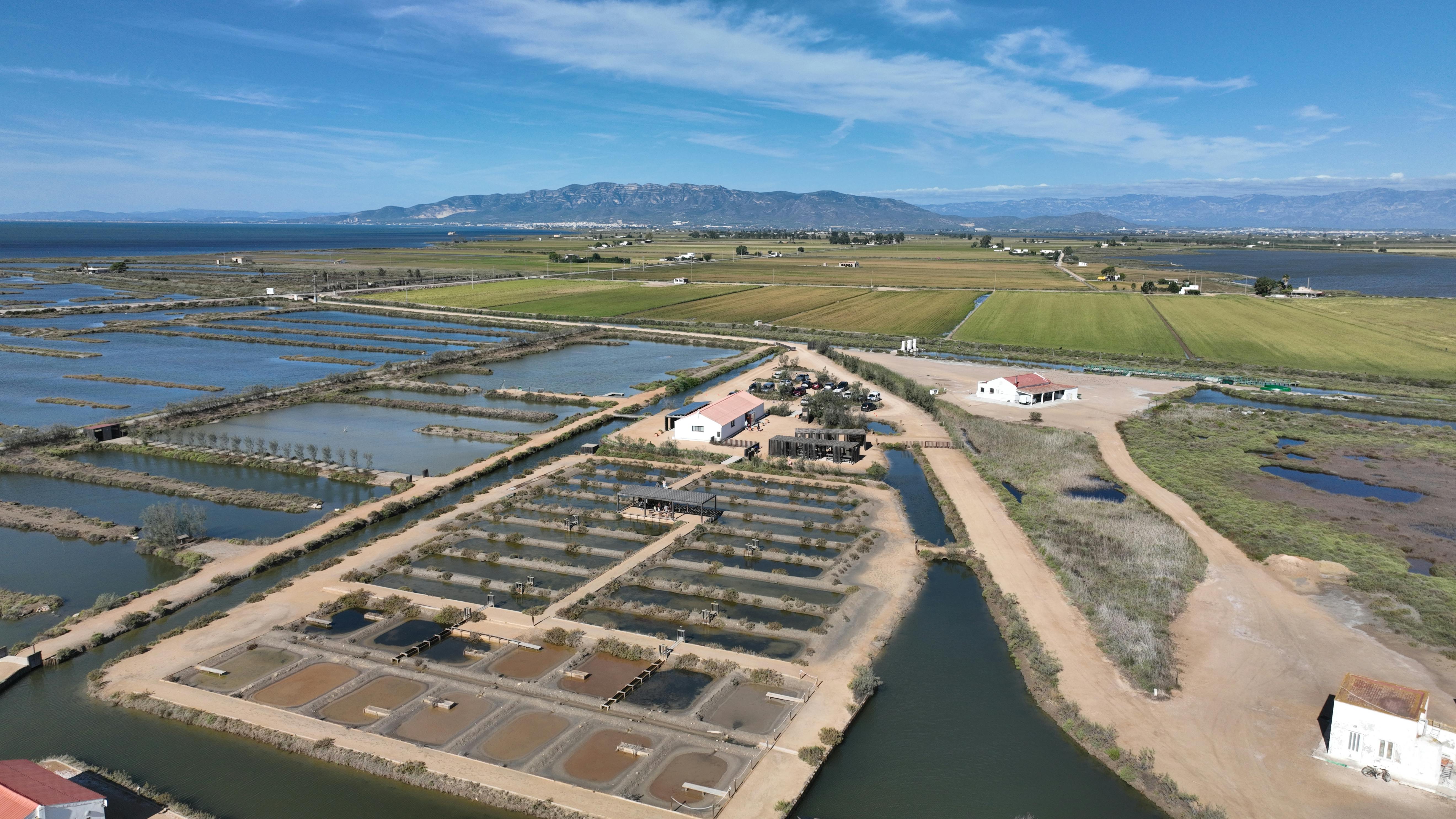 Letecký pohled na rybí farmu s několika obdélníkovými rybníky, přilehlými budovami a okolními poli pod částečně zataženou oblohou.