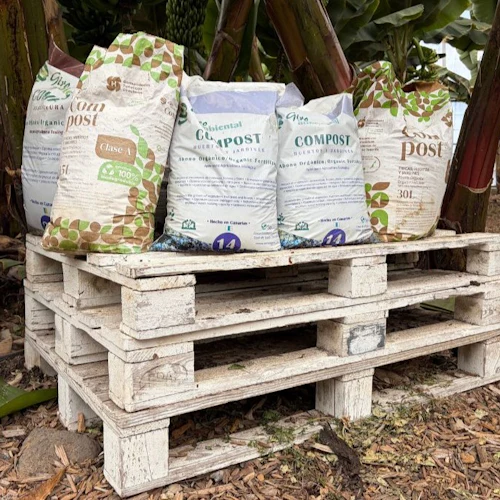 Tenerife: Visita à plantação de bananas e à adega + prova de vinhos - Photo 4