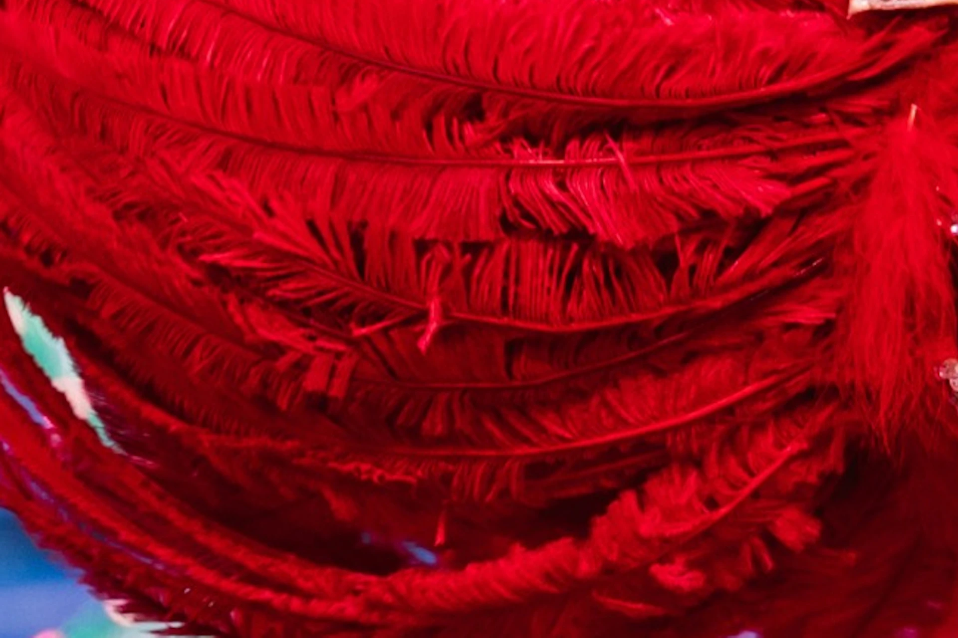 Performers in elaborate red feather costumes and headdresses dancing against a colorful, illuminated background.