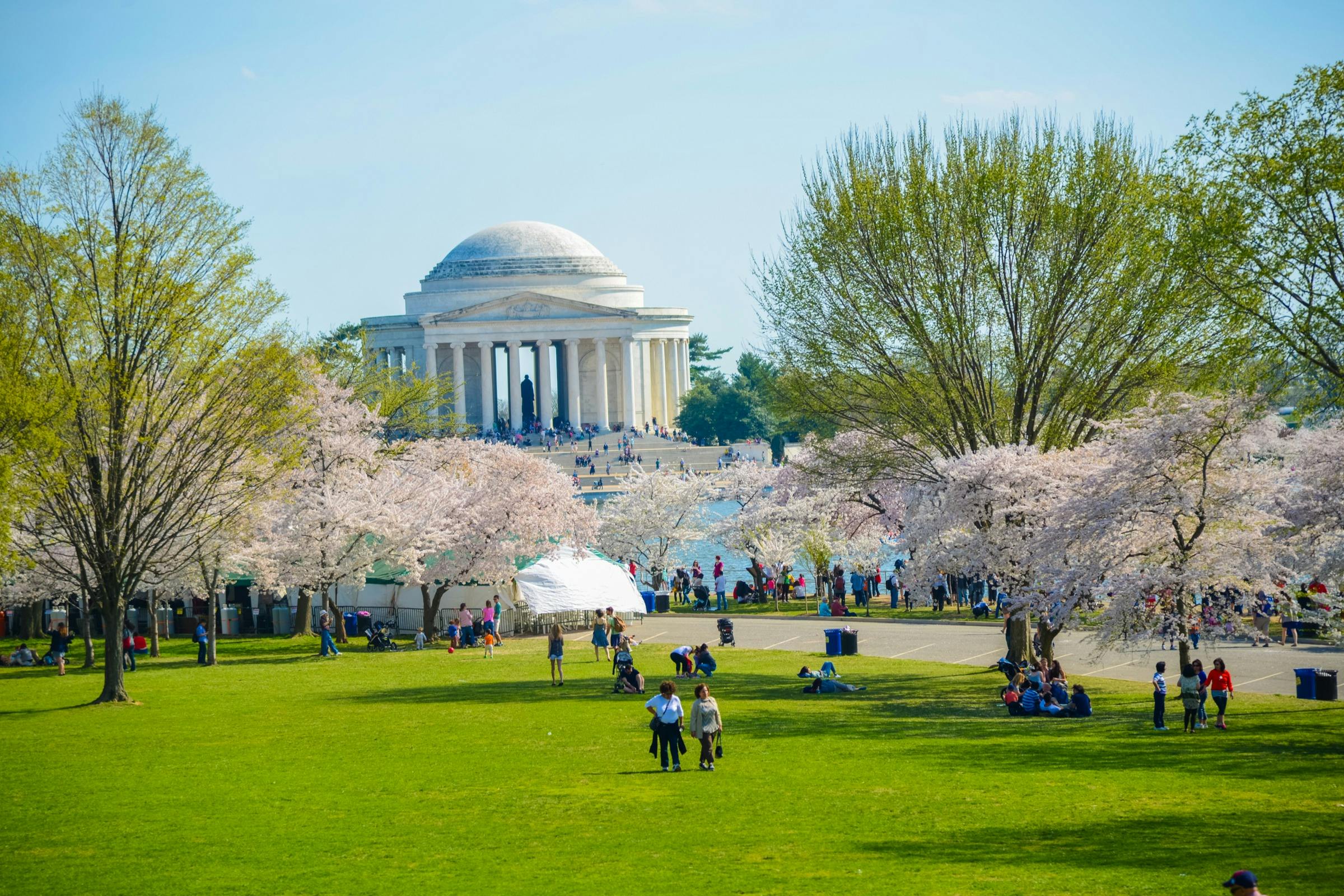 People enjoying a park with cherry blossoms and the Jefferson Memorial in the background on a sunny day.