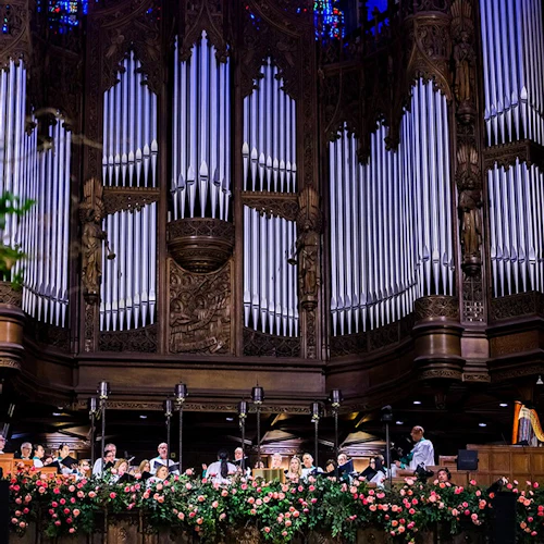 Catedral de São Patrício: tour VIP - Photo 10