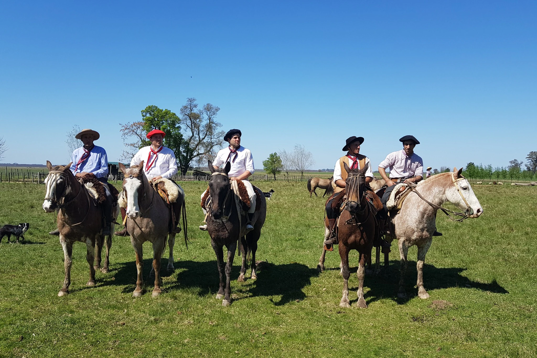 San Antonio de Areco: Excursão de um dia com tema gaúcho a partir de Buenos Aires