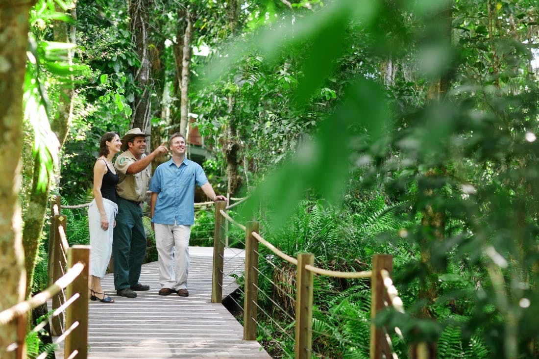Three people on a wooden walkway through a lush forest. One points out something of interest to the other two.