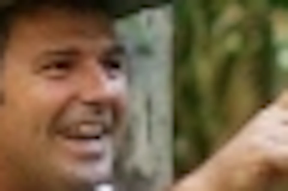Three people on a wooden walkway through a lush forest. One points out something of interest to the other two.