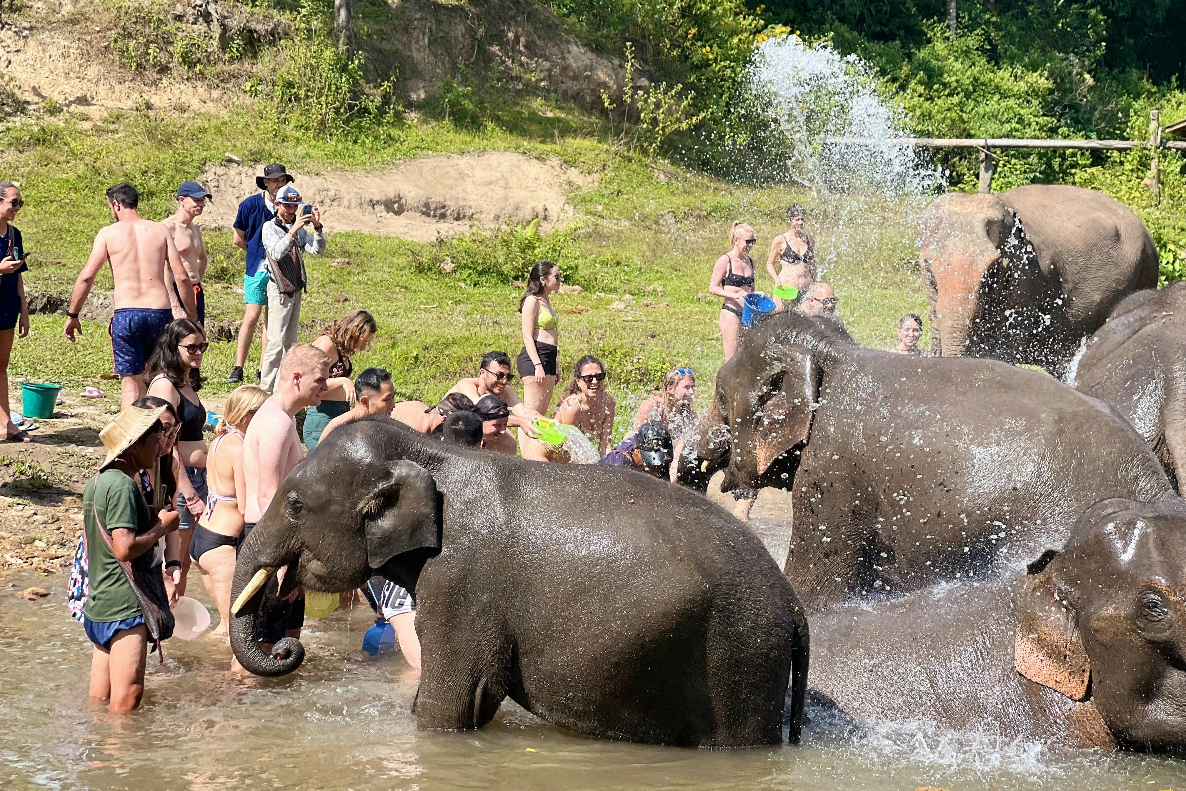 Elephant bath