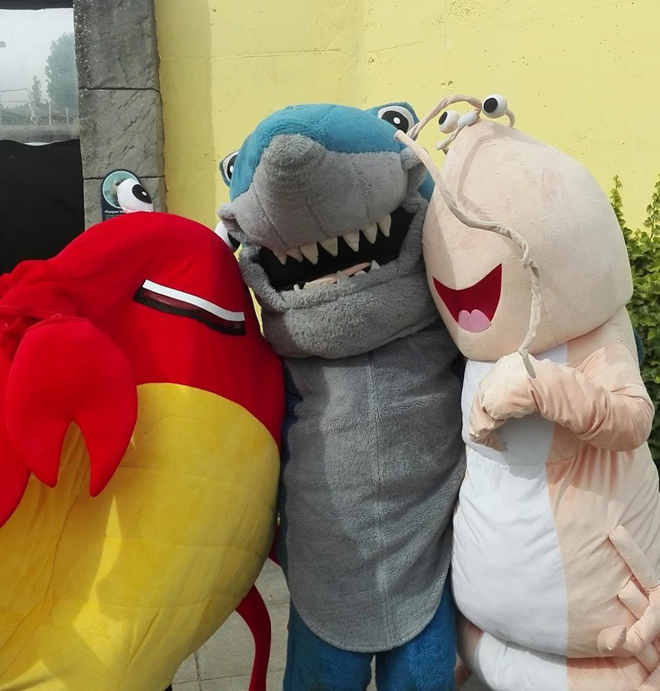Three people in fish and sea creature costumes, including a red fish, a shark, and a shrimp, standing together outdoors.