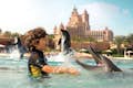 Atlantis The Palm: experiències amb dofins