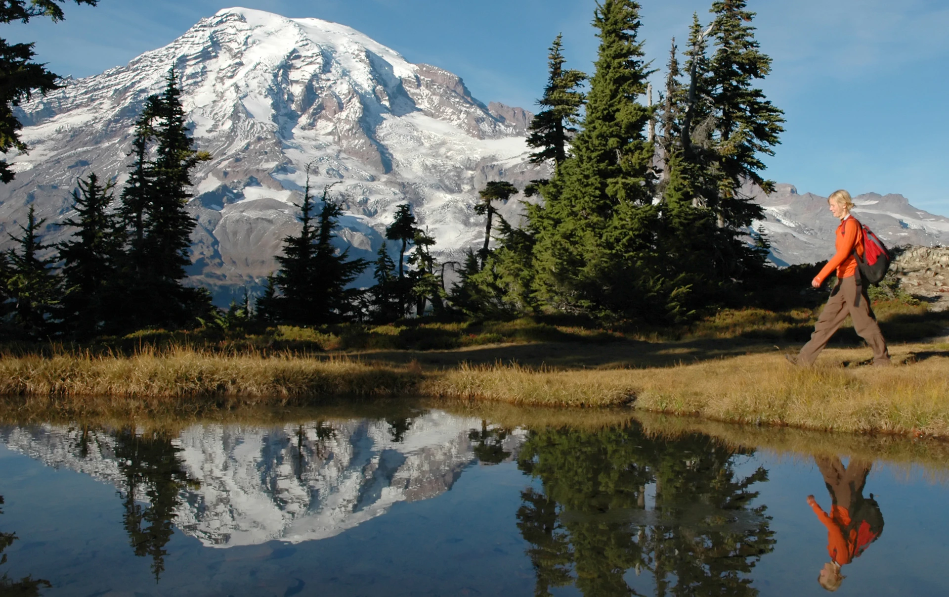 Snow-capped mountain and evergreen trees reflected in a calm lake under a clear blue sky.
