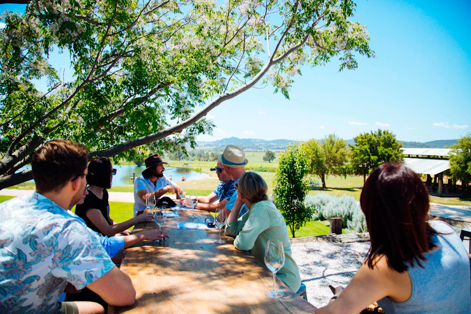 A group of people sitting outdoors at a wooden table, enjoying drinks with a scenic landscape of trees and a pond in the background.