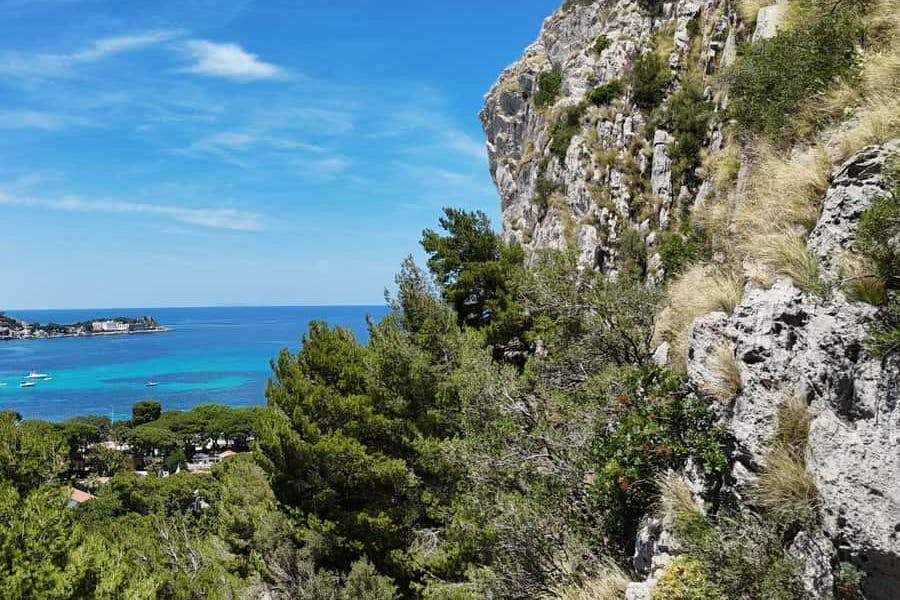 Colline rocheuse avec des arbres verts surplombant une mer turquoise sous un ciel bleu clair.