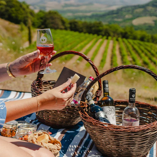 Propriedade da vinícola Corte Pavone: Piquenique com vinho e comida + visita guiada ao vinhedo - Photo 6