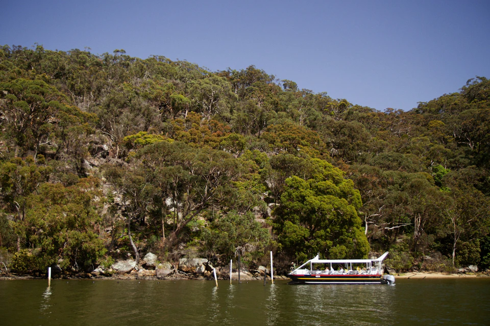 Tour boat at oyster farm on Hawkesbury River