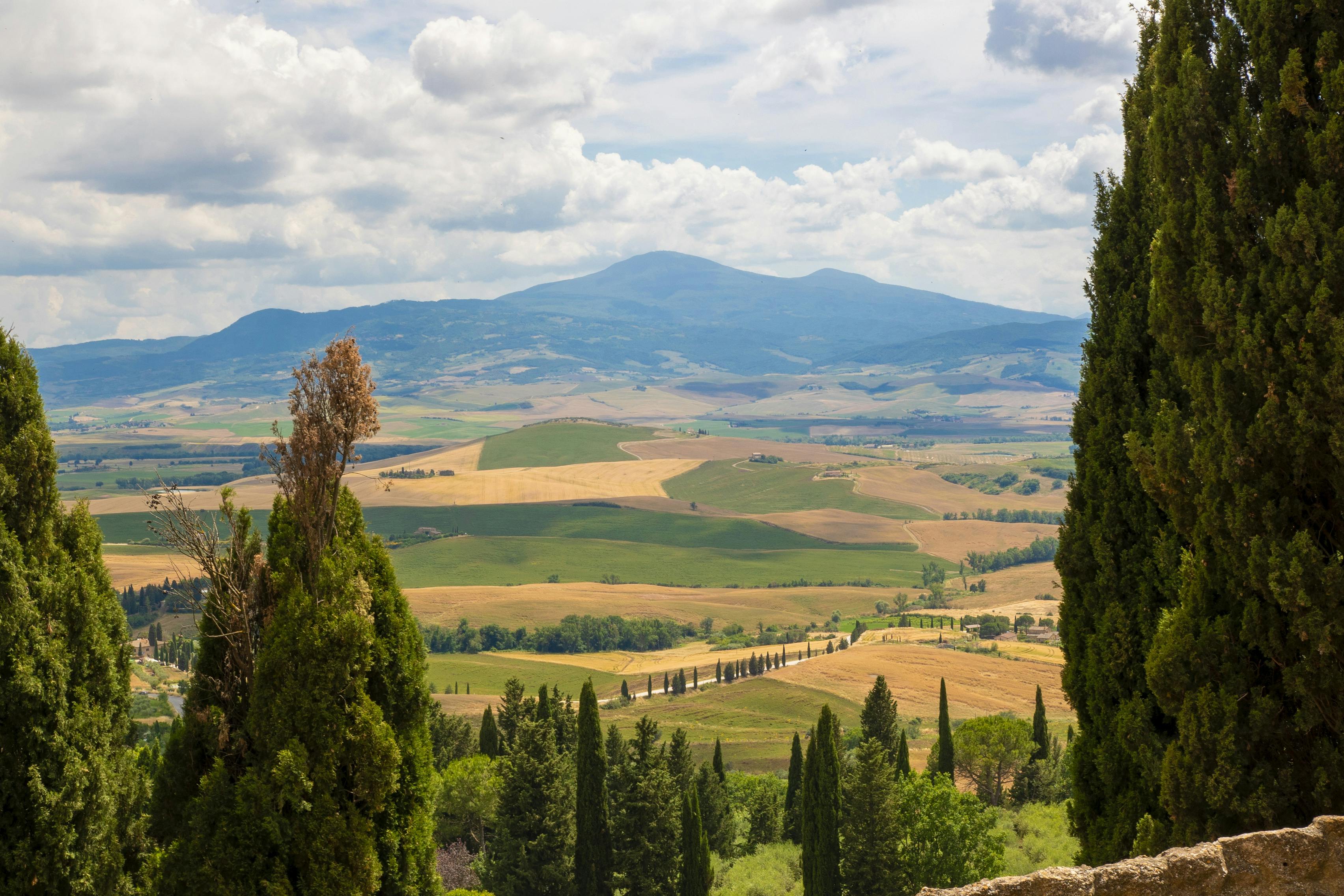 Medieval Tuscany Experience: Visit Monteriggioni and Val d'Orcia from Florence