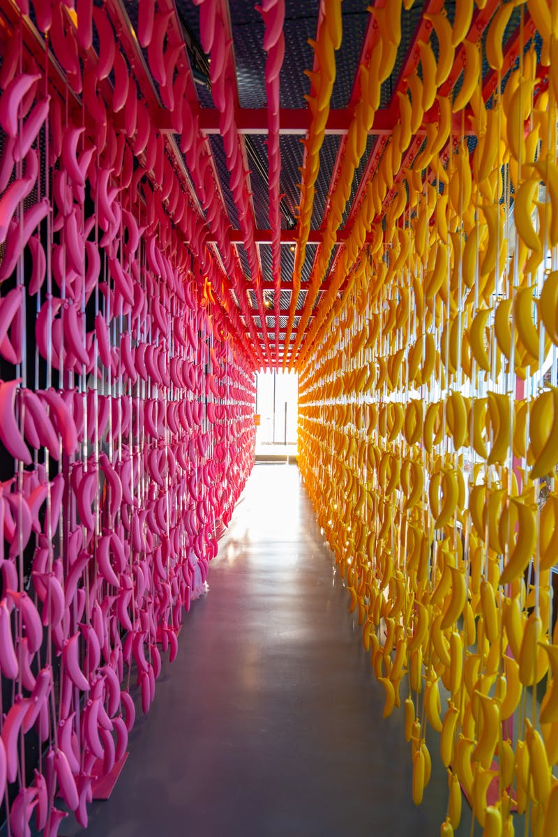 Chodba se stěnami lemovanými visícími růžovými a žlutými tvary, které vedou k jasnému východu s viditelným slunečním světlem na konci.