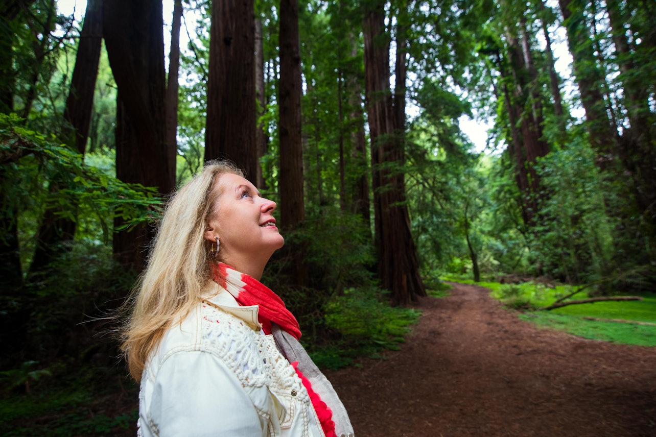 Muir Woods & Sausalito: Morning Tour from San Francisco - Accommodations in San Francisco