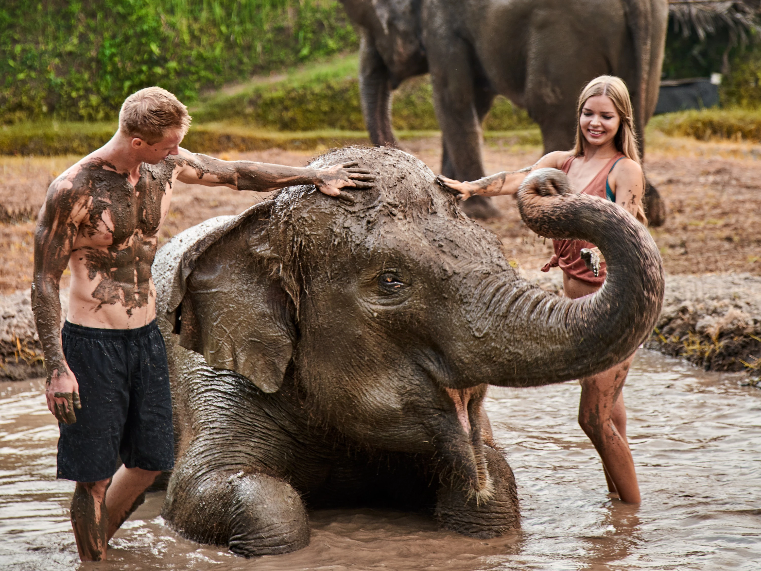 Elephant Mud Fun at Bali Zoo