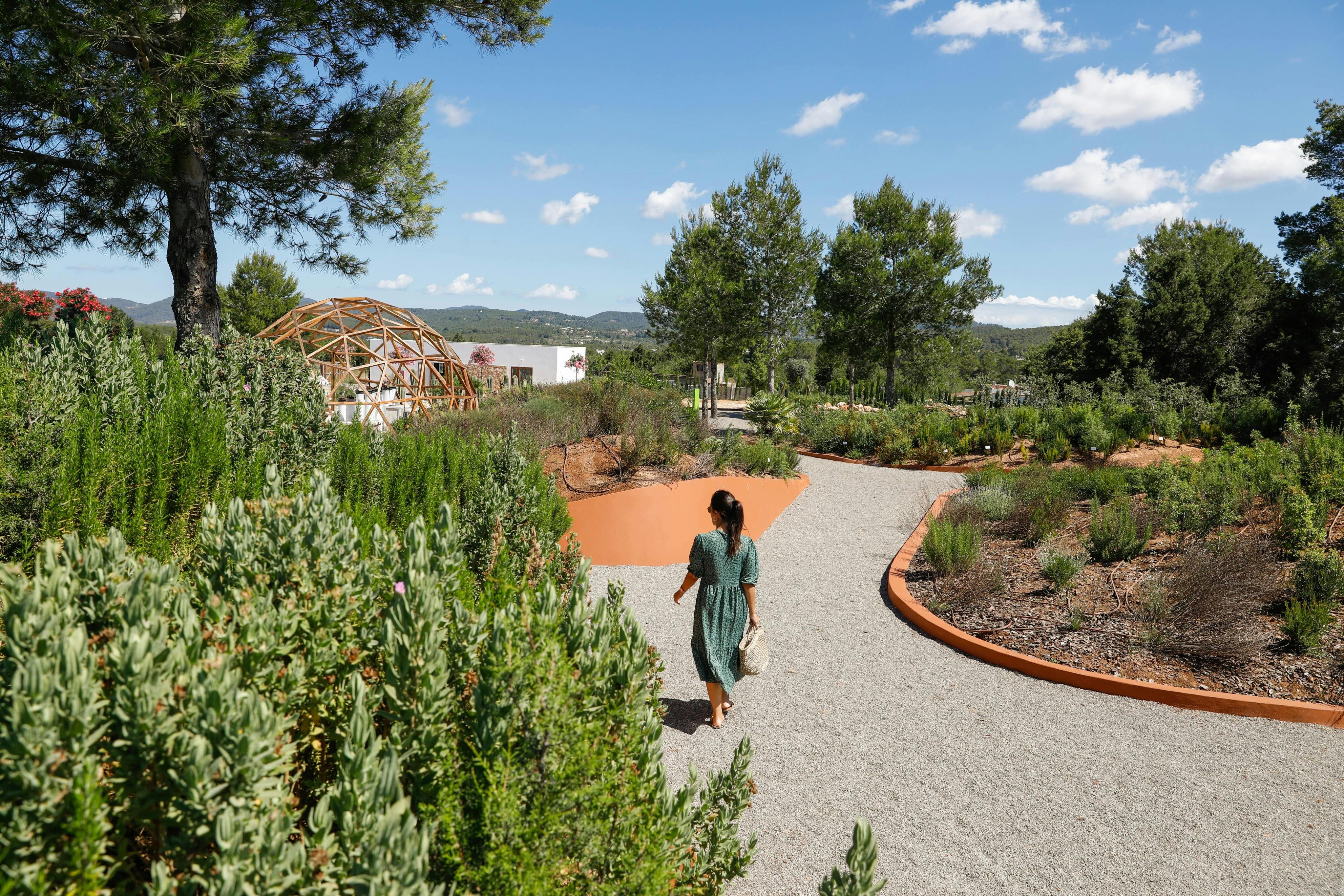 포레스트 해비타트