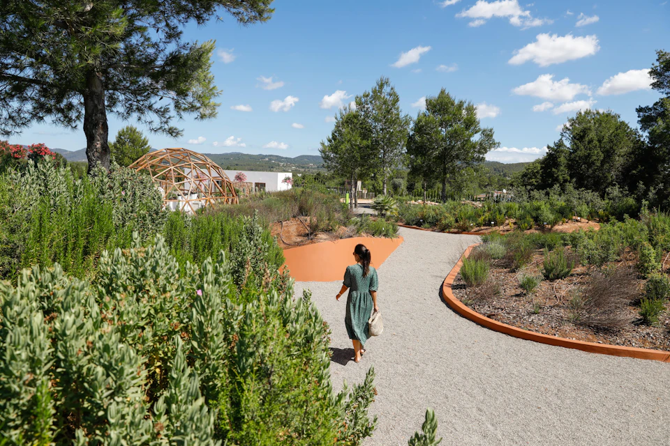 Forest Habitat