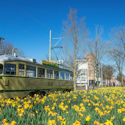 Hop-on Hop-off Tourist Tram 4