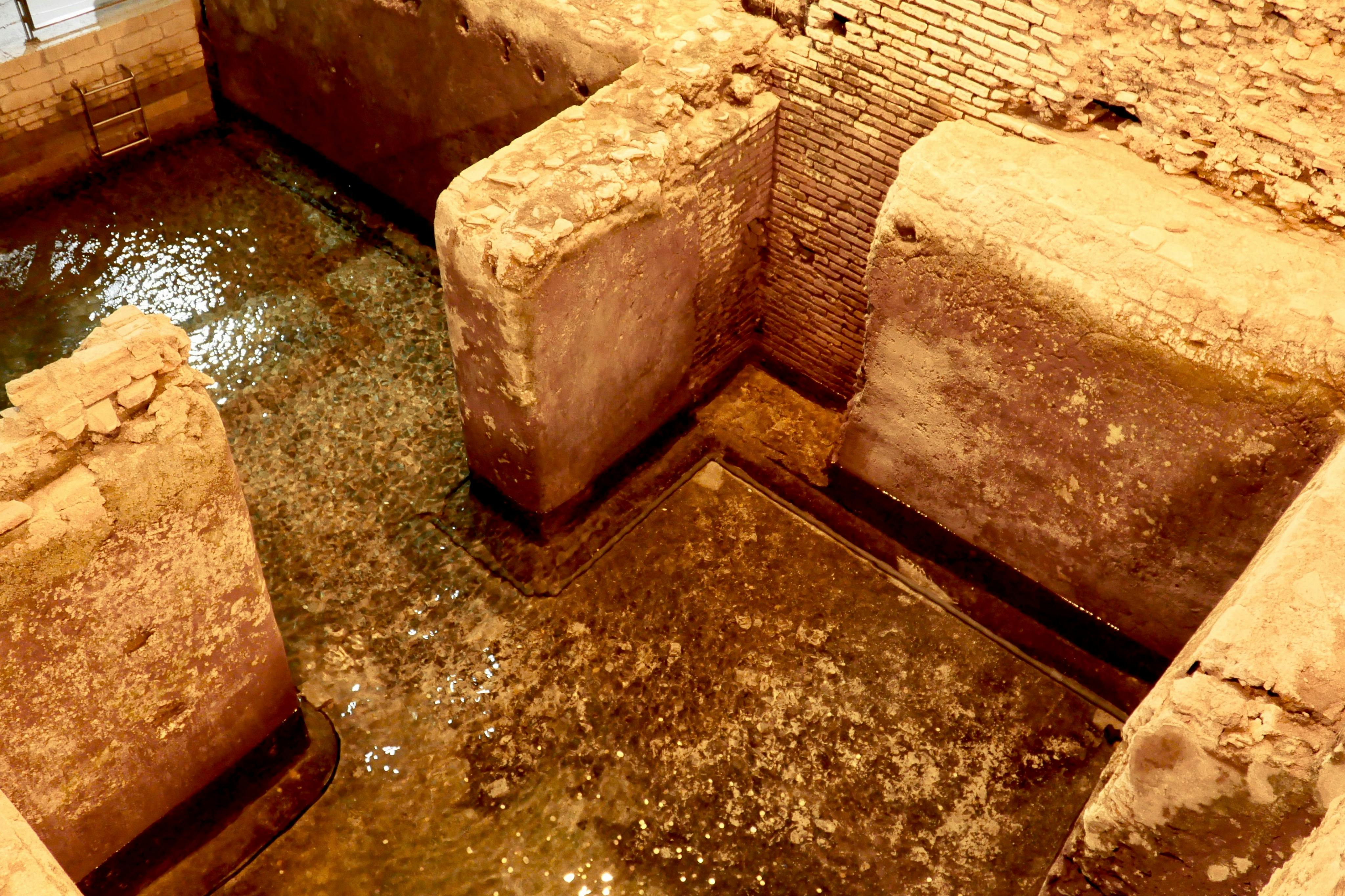 ヴィクス・カプラリウスの地下水