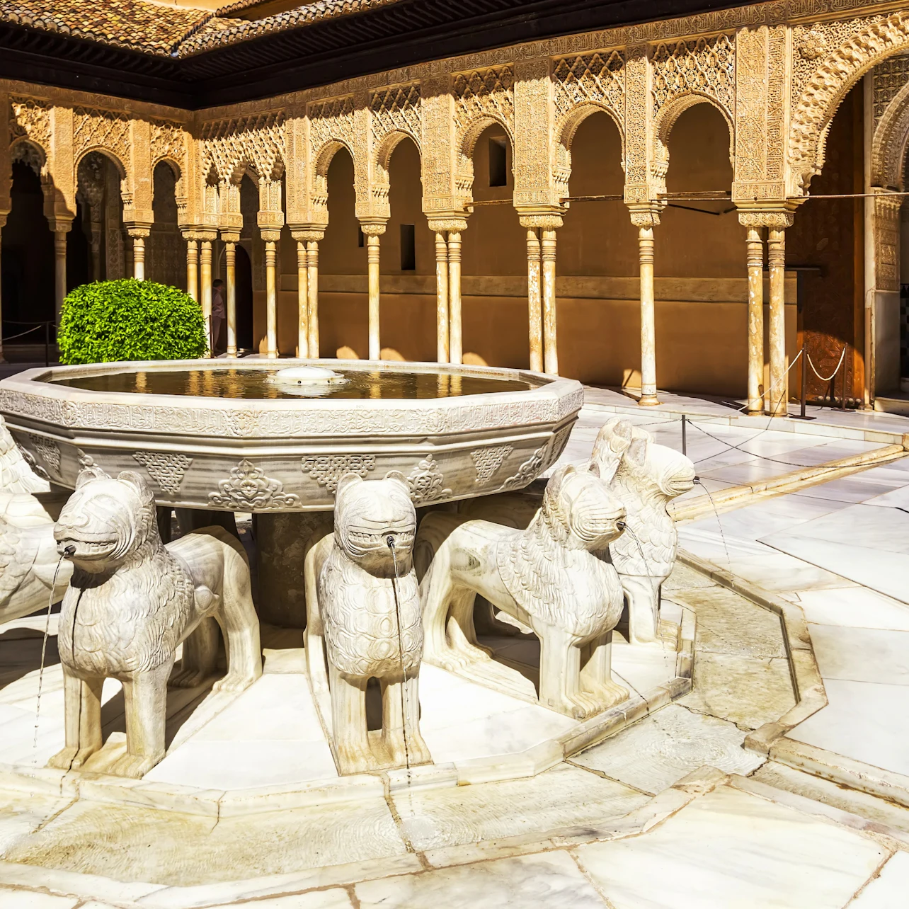 Patio de los Leones Alhambra Pomegranate