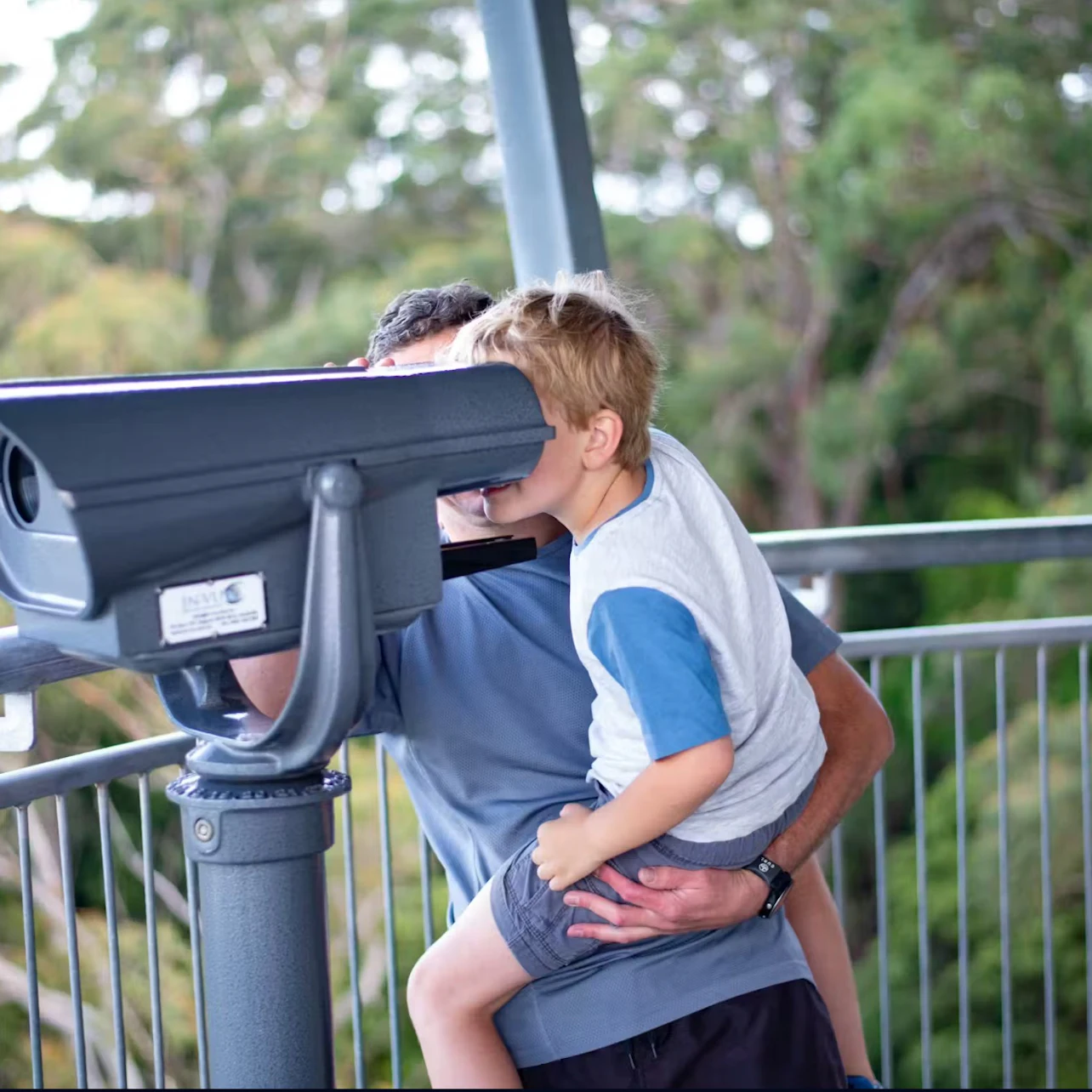 Illawarra Fly Treetop Adventures: Treetop Walk in Knights Hill β Tiqets