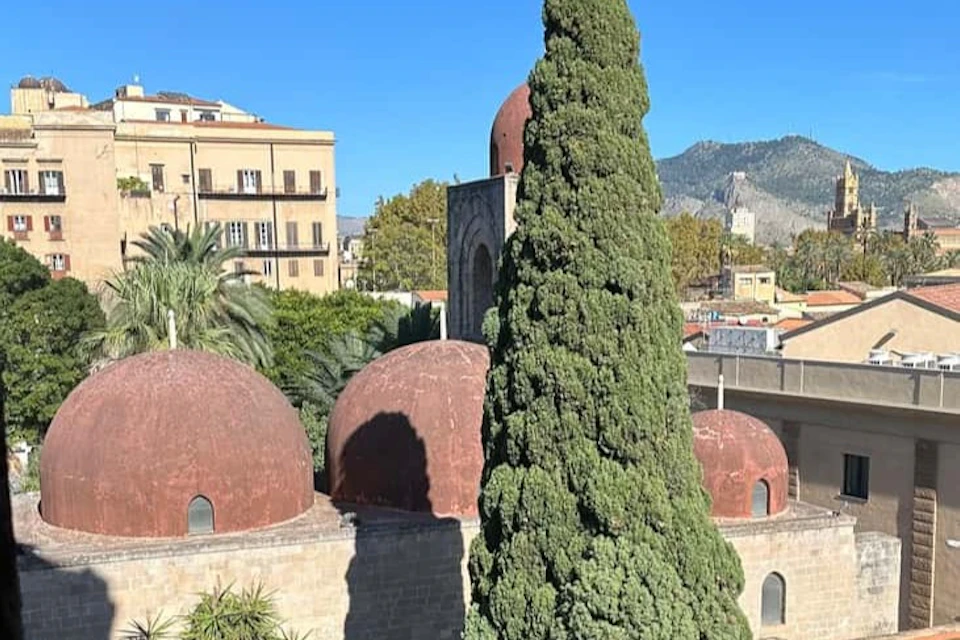 A tall, green cypress tree stands next to a building with red domes, set against a backdrop of cityscape and mountains under a clear blue sky.