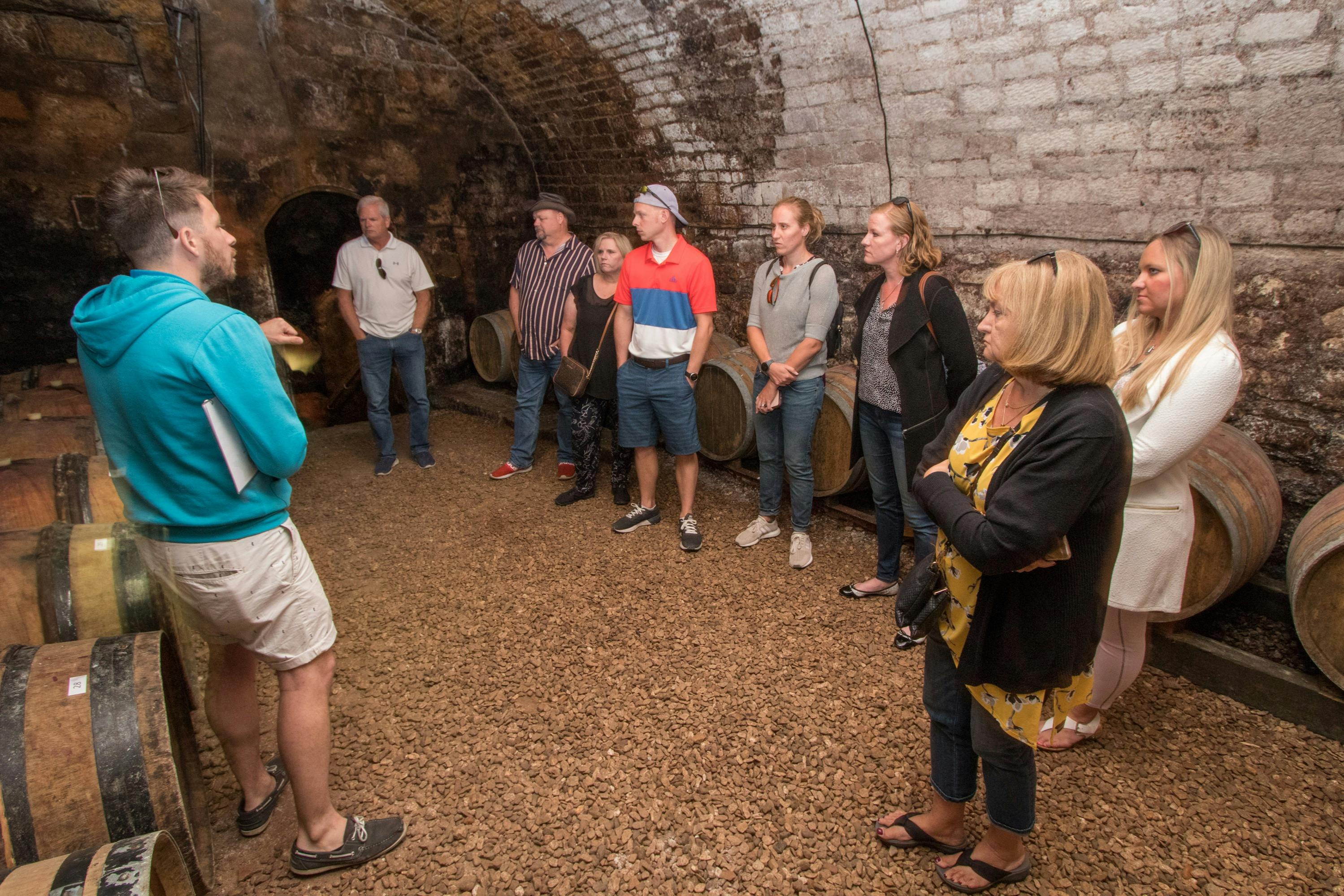 800 year old cellars