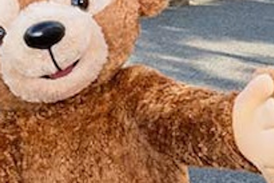 Tokyo DisneySea Tickets