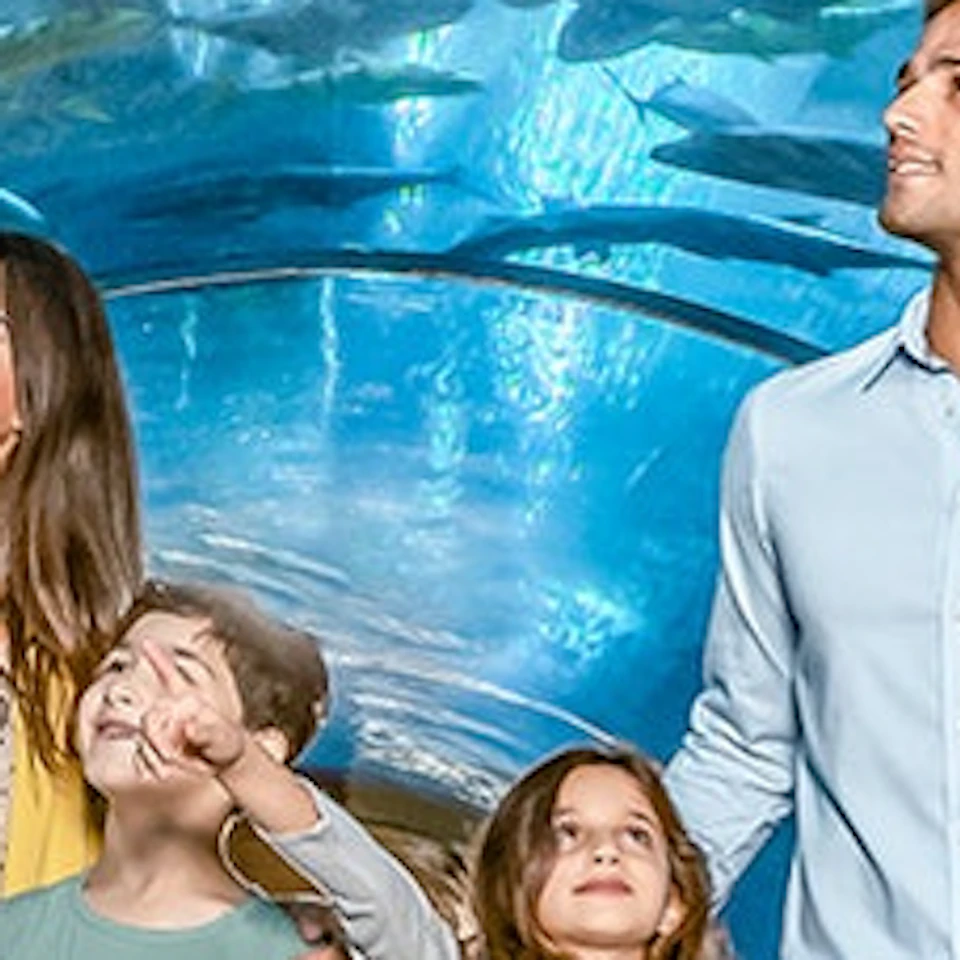 A family of four walks through an underwater tunnel at an aquarium, surrounded by a variety of fish swimming above.
