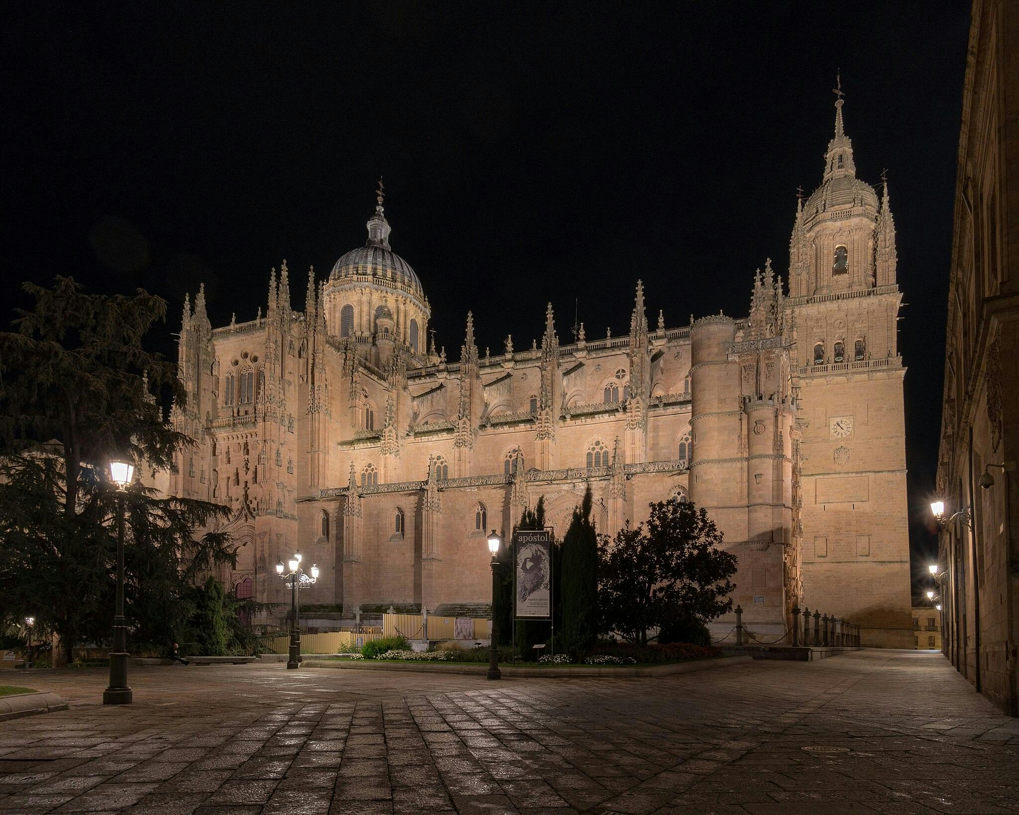 밤에는 나무와 가로등으로 둘러싸인 돔과 여러 개의 타워, 포장된 전경으로 조명이 켜진 대성당이 있습니다.