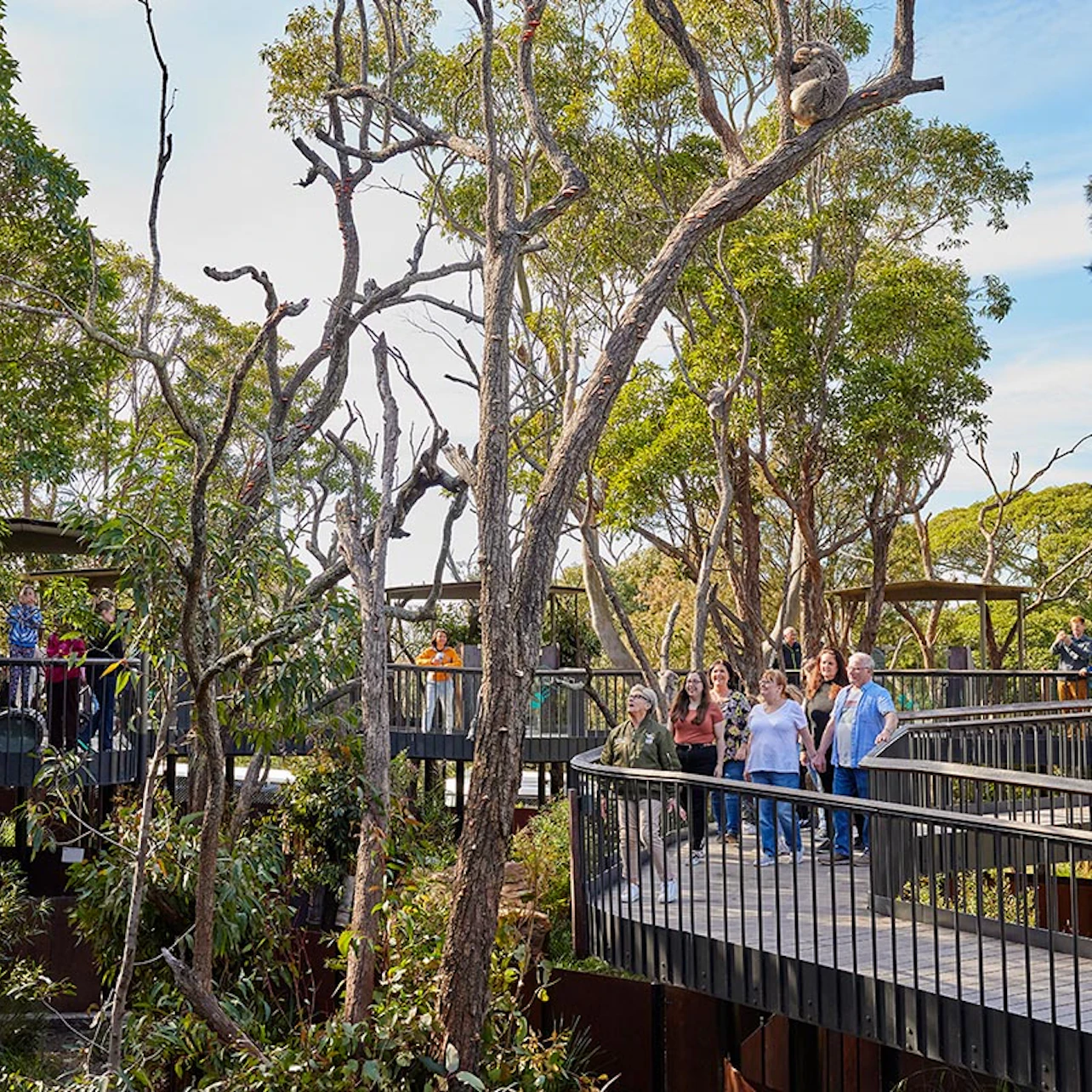 Taronga Zoo Sydney: Entry Ticket in Sydney β Tiqets