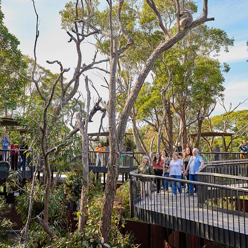 Taronga Zoo Sydney: Entry Ticket - Photo 5