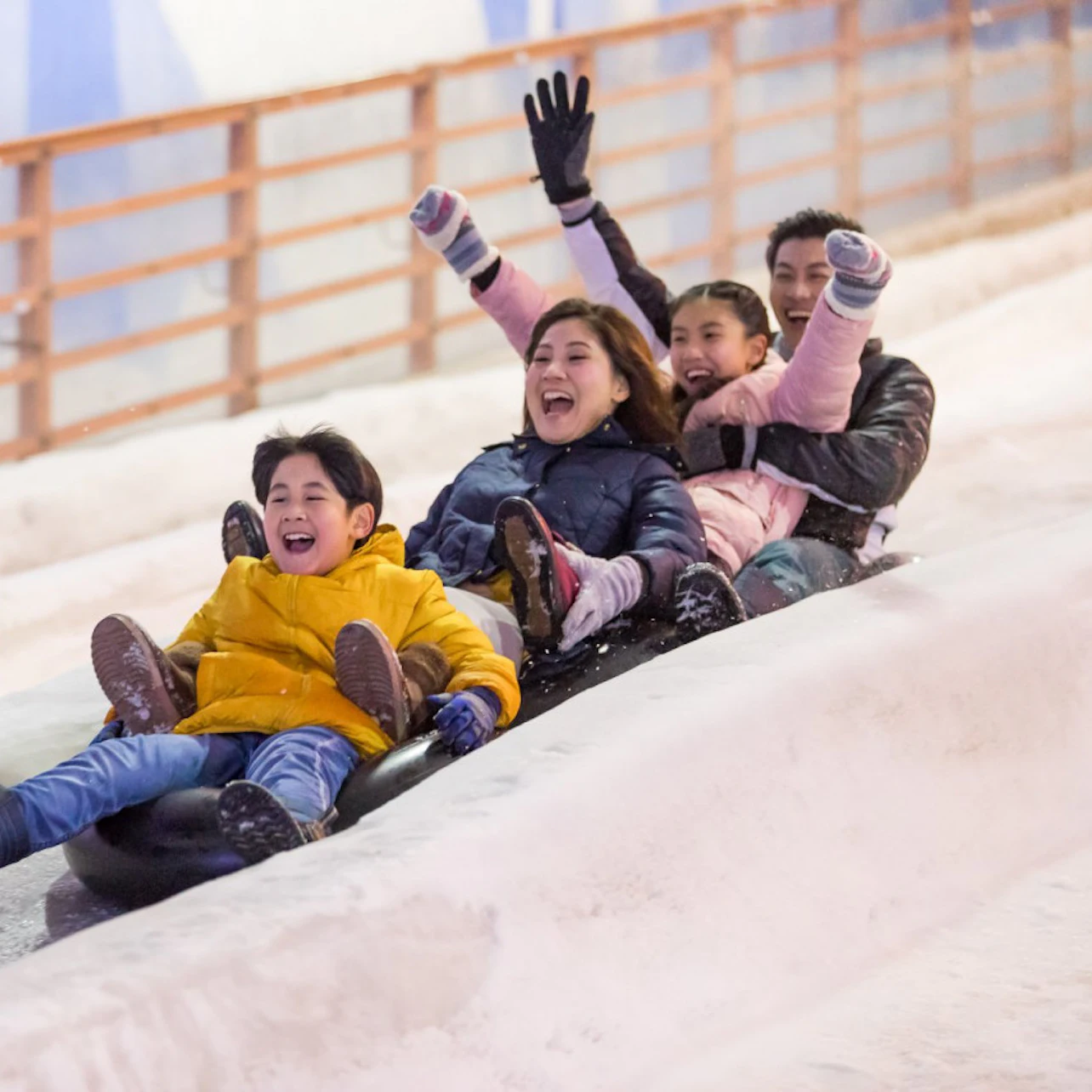 Snow City Singapore: Entry Ticket in Singapore β Tiqets