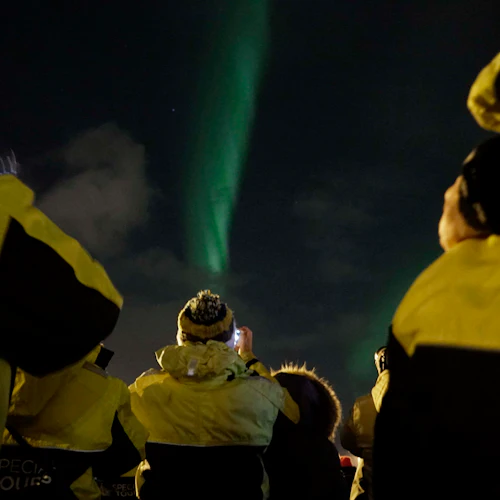 Aurora boreal: Passeio de barco de 2 horas + Plano alternativo - Photo 10