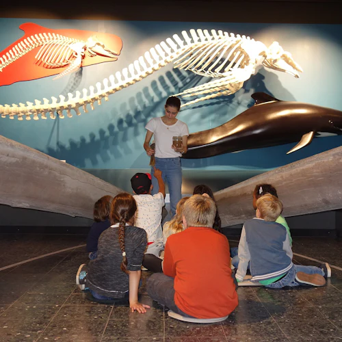 En kvinna står framför valskelett och en valmodell och undervisar en grupp sittande barn.