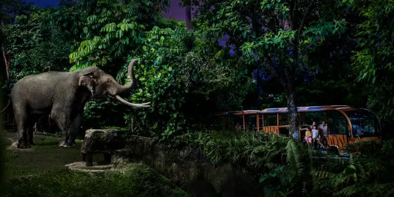 Ein großer Elefant steht nachts in der Nähe des üppigen Laubes. Eine Straßenbahn mit Fahrgästen beobachtet die Szene von einem nahe gelegenen Weg aus.