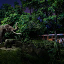 Night Safari Singapore: Open-Dated Admission Ticket with Tram Rides