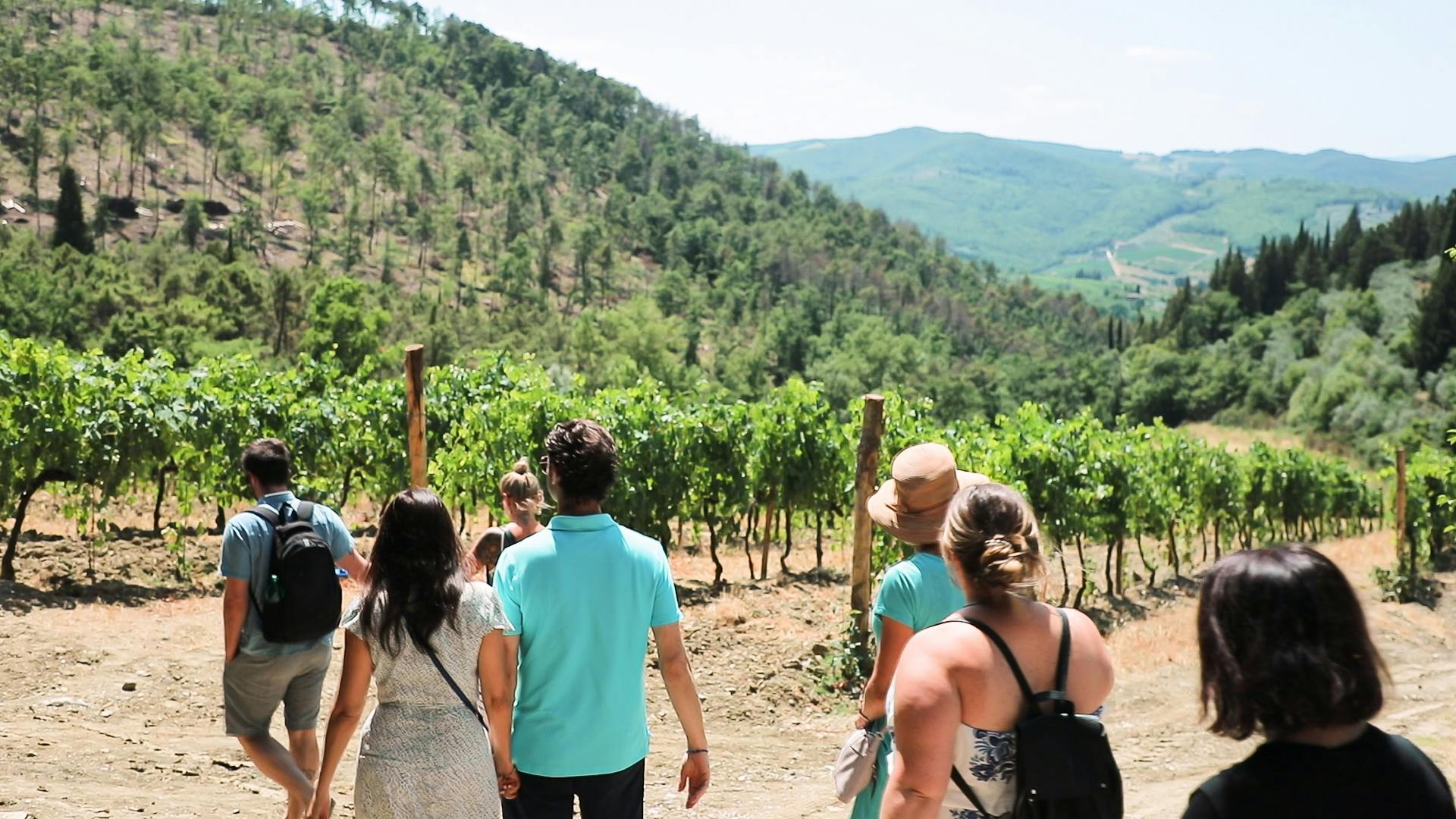 Un groupe de personnes marchant dans un vignoble aux vignes verdoyantes, entouré de collines ondulantes et d'une forêt dense.