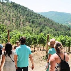 Tuscany Day Trips from Florence