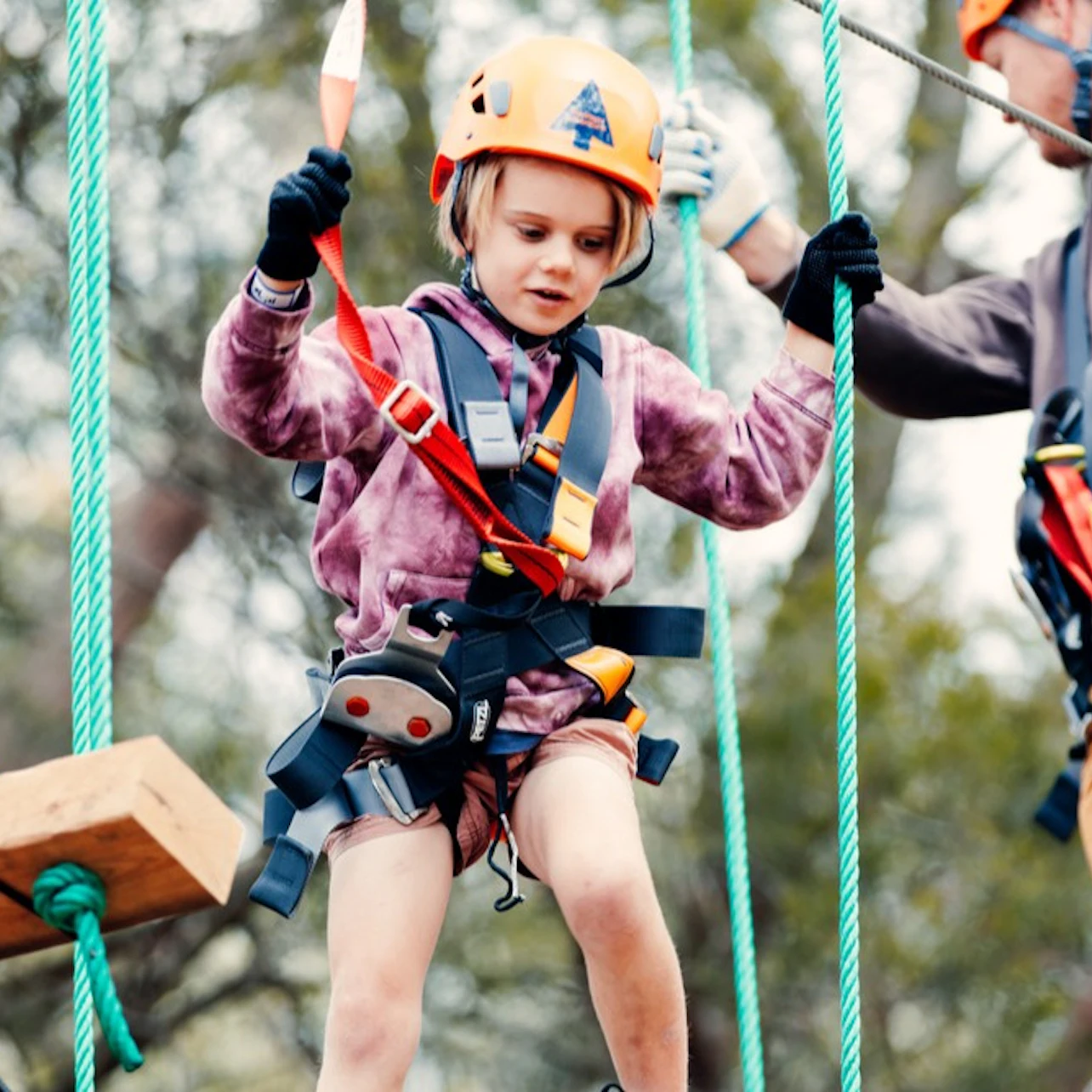Treetops Adventure Western Sydney: Junior Ropes Course in Abbotsbury β Tiqets