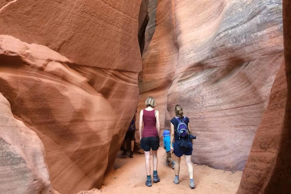 Canyon X