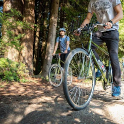 Vancouver: Half or Full-Day Bike Rental 4